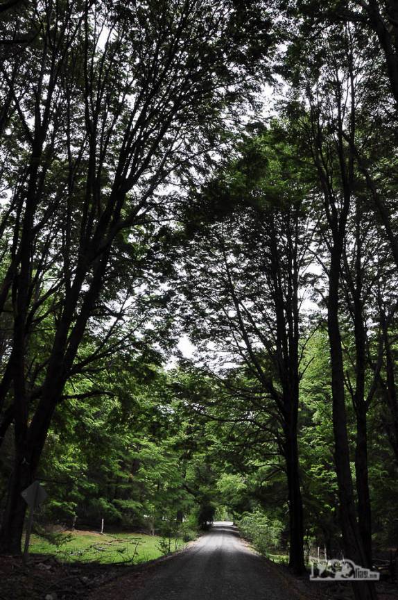 Carretera Austral, entre Cochrane e Puerto Yungay, no sul do Chile